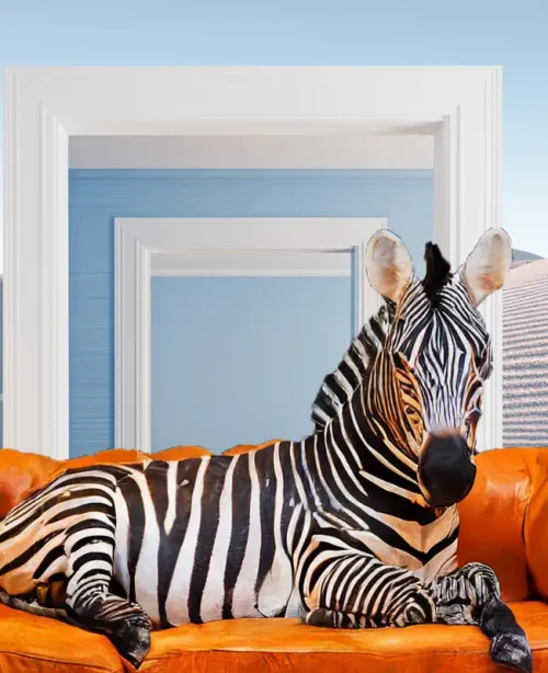 sofa safari the zebra on the sofa collage art design david hopkins marbella collage artist