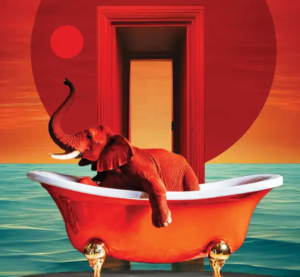 collage-artist-david-Hopkins-collage-art-designer-sofa-safari-en-murcia