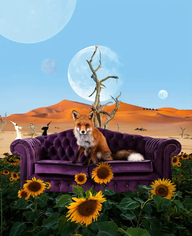 sofa safari the fox contemporary artist david Hopkins marbella